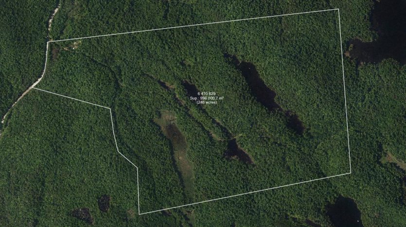Terrain à vendre en Outaouais - 246 acres à Val-des-Monts